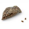 Image 1 : 44 Cal, 240 Grain FCP Projectiles, 17 lbs