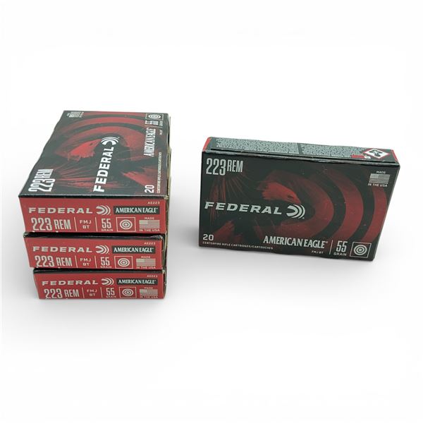 Federal American Eagle 223 Rem, 55 Grain FMJ BT Ammunition, 80 Rounds