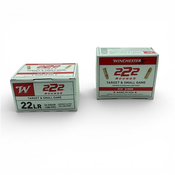 Winchester Target & Small Game .22 LR, 36 Grain Copper Plated Hollow Point Ammunition, 444 Rounds