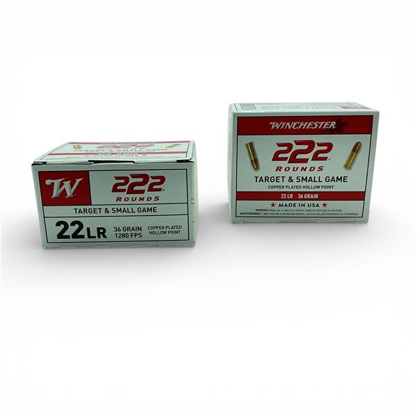 Winchester Target & Small Game .22 LR, 36 Grain Copper Plated Hollow Point Ammunition, 444 Rounds