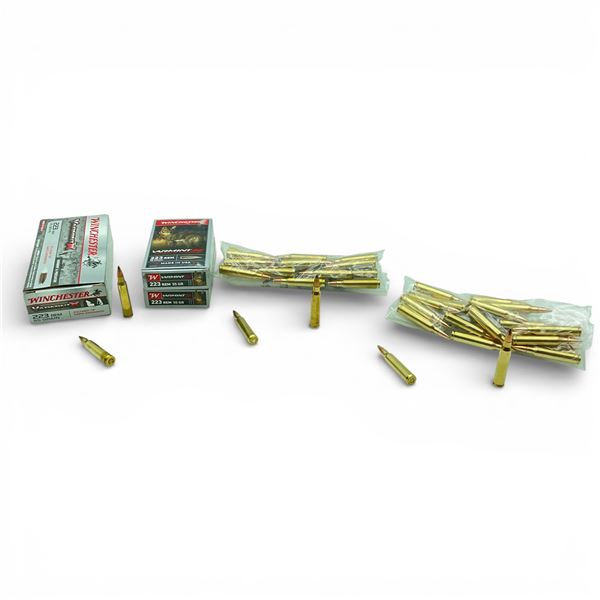 Assorted .223 Rem Ammunition, 100 Rounds