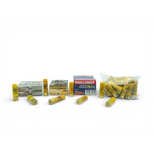 Assorted 20 Ga Ammunition, 70 Rounds