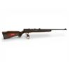 Image 1 : Savage B17 Bolt Action Rifle .17 HMR 21" Barrel Wood Stock, New