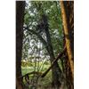 Image 2 : Big Game 'The Guardian' XLT Ladderstand, 18ft Tall, 500 lb Capacity, New
