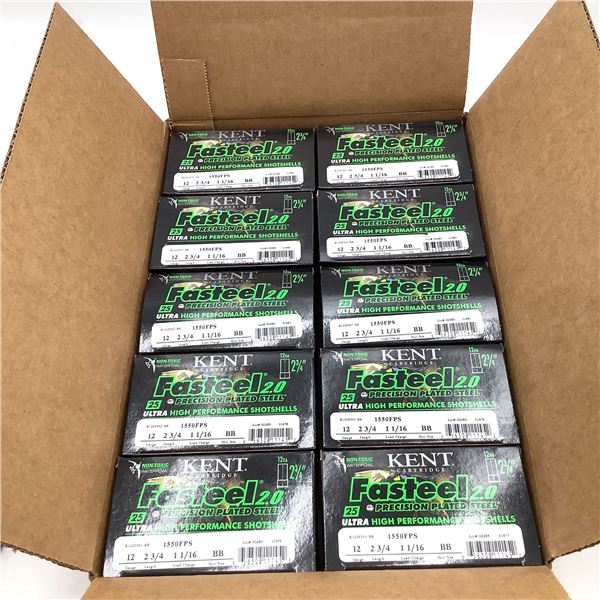 Kent Fasteel 2.0 Precision Plated Steel 12 Ga 2 3/4" #BB Ammunition, Case of 250 Rounds