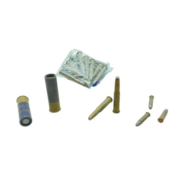 Assorted 16 Ga and Rifle Ammunition, 20 Rounds