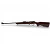 Image 2 : TOZ T03-18-01 Bolt Action Rifle .22LR 21" Barrel Wood Stock