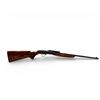 Image 1 : Norinco JW20 Take Down Semi Auto Rifle .22LR 19"  Barrel Wood Stock