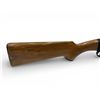 Image 6 : Gevarm Semi Auto Rifle .22LR 19" Barrel Wood Stock