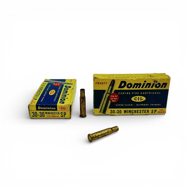 Dominion 30-30 Win 170 Grain SP Ammunition, 20 Rounds and 20 Cases