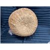 Image 5 : SET OF TOOLS AND MATERIALS FOR HAND SPINNING WOOL INTO YARN