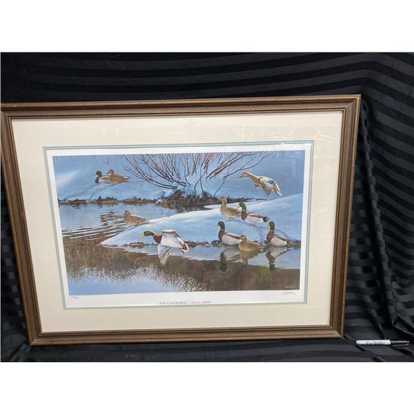 LIMITED EDITION FRAMED ART PRINT TITLED "THE GATHERING - MALLARDS" BY ARTIST RON VAN GILDER