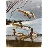 Image 7 : LIMITED EDITION FRAMED ART PRINT TITLED "THE GATHERING - MALLARDS" BY ARTIST RON VAN GILDER