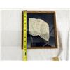 Image 14 : ANTIQUE FRAMED CHILD'S BONNET MADE OF FINE HAND-EMBROIDERED NET LACE