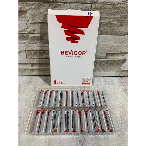Bevigor AA Lithium Battery Pack of 24 3000mAh