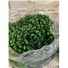 Image 3 : Artificial Topiary Plant