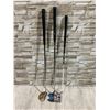 Image 9 : Lynx Tigress Womens Golf Club Set with Two Extra Putters Right Handed