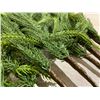 Image 2 : 12 Pieces - 18 Inch Norfolk Pine Branches - Home Décor