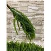 Image 4 : 12 Pieces - 18 Inch Norfolk Pine Branches - Home Décor