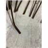 Image 6 : 12 Pieces - 18 Inch Norfolk Pine Branches - Home Décor