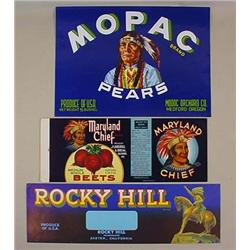 LOT OF 3 VINTAGE NATIVE AMERICAN INDIAN FRUIT LABE