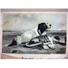 Image 3 : LOT OF 1861 HAND PAINTED LITHOGRAPHS AND ENGRAVING