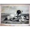 Image 3 : LOT OF 1861 HAND PAINTED LITHOGRAPHS AND ENGRAVING