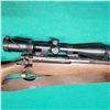 Image 7 : P17 Enfield 30-06 Rifle with Vortex Crossfire 4-12x44 Scope