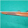 Image 4 : Winchester Model 70 Left Hand in 300 Win. Magnum.