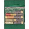 Image 1 : 10 Ga Mixed Shell Lot