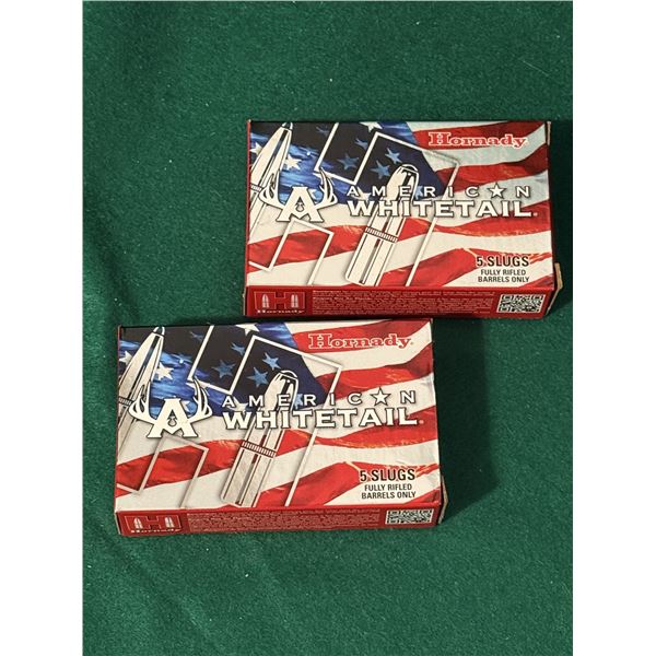 12 Ga 2-3/4" Hornady Slugs