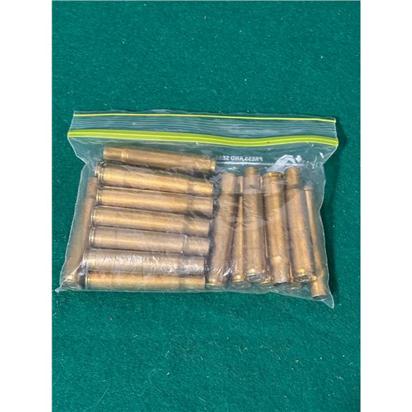 338-06 Brass Casings
