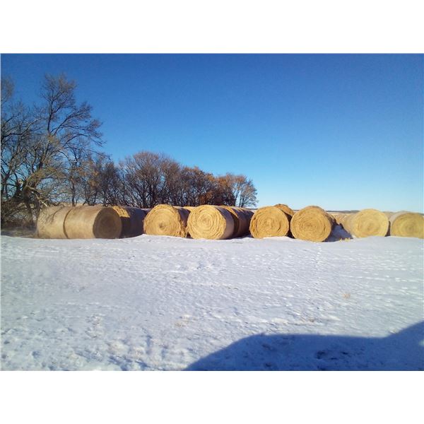 2025 Flax Straw Bales       Baled w/ New Holland Baler  3 wraps of Net Wrap from edge to edge