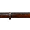 Image 14 : SWISS VETTERLI | Model: 1871 | Caliber: .41 RF