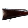 Image 16 : SWISS VETTERLI | Model: 1871 | Caliber: .41 RF