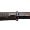 Image 20 : SWISS VETTERLI | Model: 1871 | Caliber: .41 RF