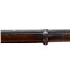 Image 21 : SWISS VETTERLI | Model: 1871 | Caliber: .41 RF