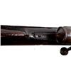 Image 24 : SWISS VETTERLI | Model: 1871 | Caliber: .41 RF