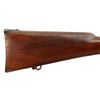 Image 13 : SWISS VETTERLI | Model: 1871 | Caliber: .41 RF
