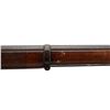 Image 16 : SWISS VETTERLI | Model: 1871 | Caliber: .41 RF