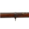 Image 17 : SWISS VETTERLI | Model: 1871 | Caliber: .41 RF