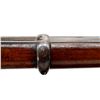 Image 9 : SNIDER ENFIELD | Model: MKII** | Caliber: .577 SNIDER