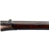 Image 13 : US SPRINGFIELD | Model: 1840 Percussion Conversion | Caliber: .69 CAL