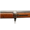 Image 16 : US SPRINGFIELD | Model: 1861 | Caliber: .58 CAL