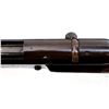 Image 20 : SWISS VETTERLI | Model: 1869/71 | Caliber: .41 SWISS RF