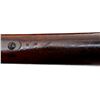 Image 21 : SWISS VETTERLI | Model: 1869/71 | Caliber: .41 SWISS RF