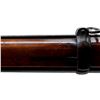 Image 23 : SWISS VETTERLI | Model: 1869/71 | Caliber: .41 SWISS RF