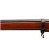 Image 11 : SWISS VETTERLI | Model: 1878/81 | Caliber: .41 SWISS RF