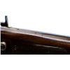 Image 20 : UNKNOWN BELGIAN | Model: Under lever Hammer Gun | Caliber: 12 G PINFIRE