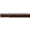 Image 12 : CANADIAN PEABODY MARTINI | Model: 1866 | Caliber: .50-60 RF